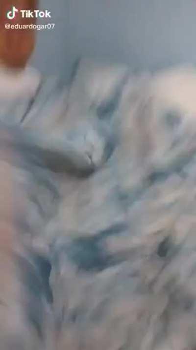 &ldquo;Trust me! I can explain.&rdquo;