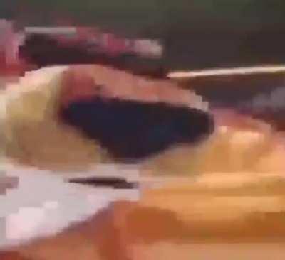 Connection terminated. I'm sorry to interrupt you Elizabeth, if you still even remember that name.