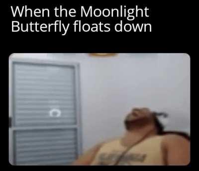 Had the whole office laughing