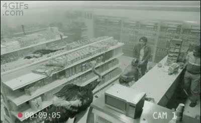 Just your average convenience store.