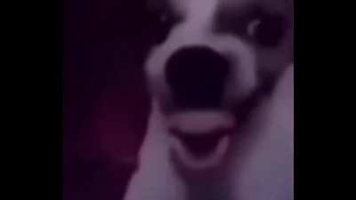 I thought it was made for kids