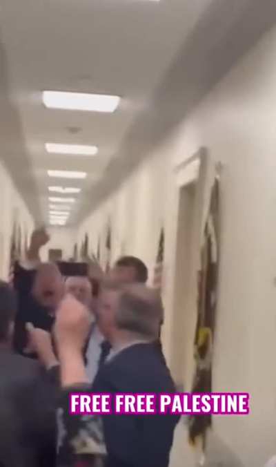 Israeli minister freaks out at Capitol Hill against protestors