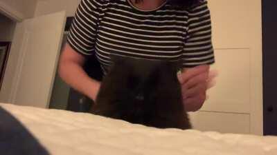 Nighttime playtime... she loves this, I swear.