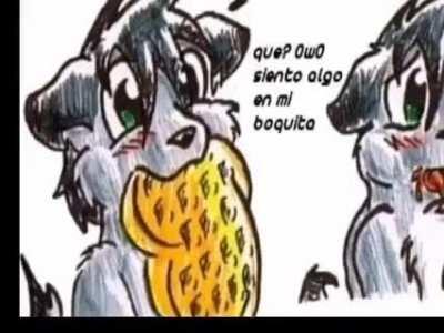 Ayer un amigo me dijo que era furro y hoy le envíe esto (me dijo que si [los furros de hacen gays por alguna razón creo que voy a investigar por qué la gente se hace fuera y luego automáticamente gay] )