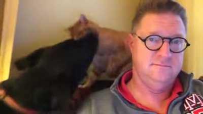 Every one of us has a work from home experience is unique.