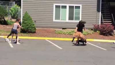 2 vs 2 - Mixed Tag Team match