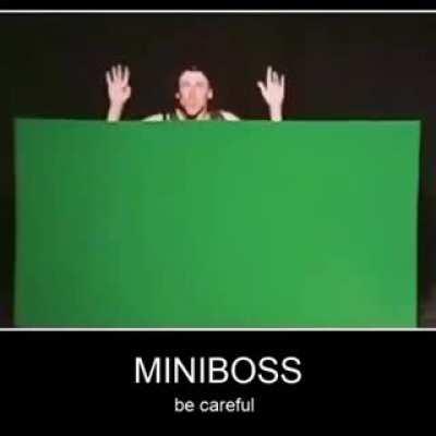 MINIBOSS (be careful)