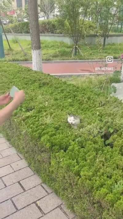 Wunkus’ are beginning to bloom.