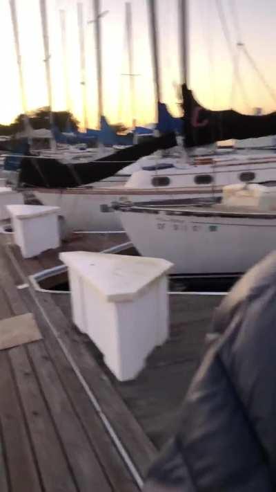 Highest expression of a Karen. Alameda Fortman Marina