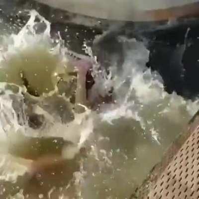 WCGW messing up with the seal.