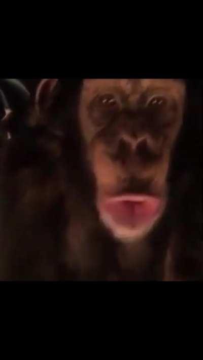 Whose toes are those