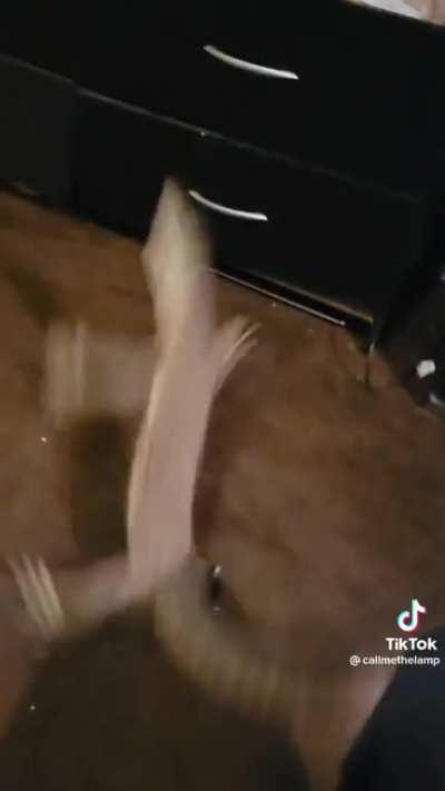 that is totally a cat