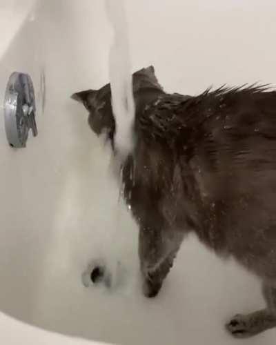 Winnie, lover of showers