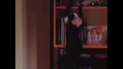 The lost world “long grass” theme is great. Change my mind.