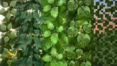 A quick comparison of vanilla Minecraft's leaf types vs Claire PBR 1024x + the incredible SEUS PTGI!