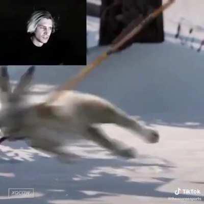 Cellbit é a prova disso xet