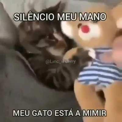 no publiquen, mi gato quiere mimir