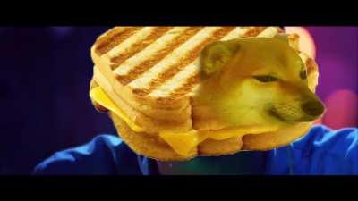 le dogefight has arrived