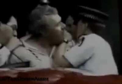 Accidental Renaissance..