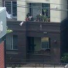 This dude is taking it out on plants