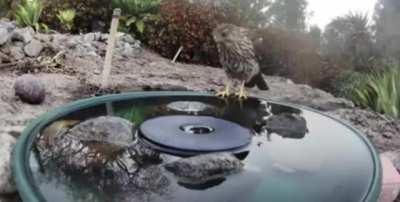 Everyone deserves fresh drinking water