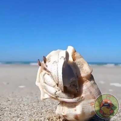 Тук-тук, можно обратиться?