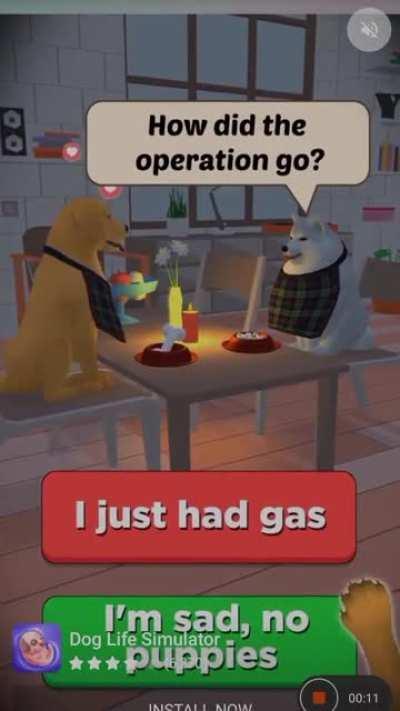 wtf did i just watch