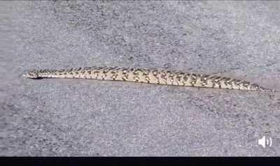 ¶W H¥ my pp hA®d °|°°°•