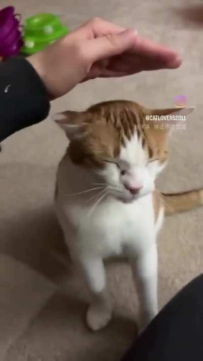 Had to do it himself at the end 