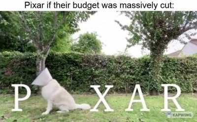 I do not like the 'Cone of Shame'