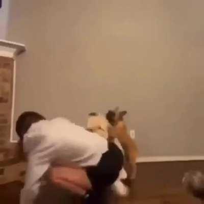 Here come choo choo train (heil spez) 