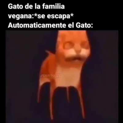 Solo quiero pasar esto por la neta si esta chistoso y espero aparecer el video del viejas slu2 XD