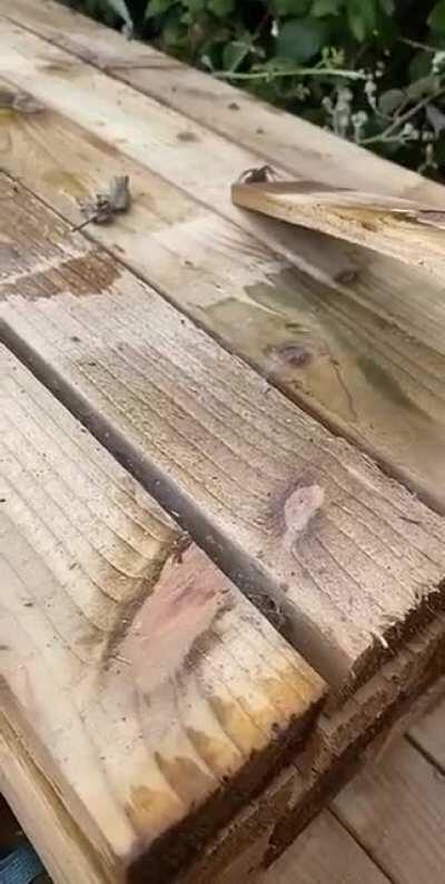 Spiders. Wasn’t even running in my direction