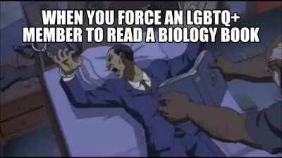 man, these are good memes