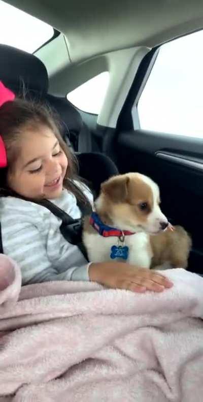 I didn't know this was what I needed