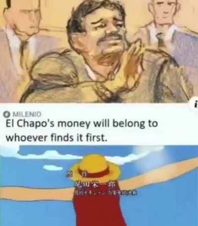 THE ONE PIECE IS REAL