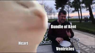 [Meme] Patient presents with lightheadedness and heart palpitations
