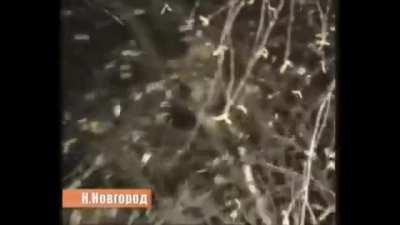 Não sei se vc já viu, mas se não viu, veja até o final