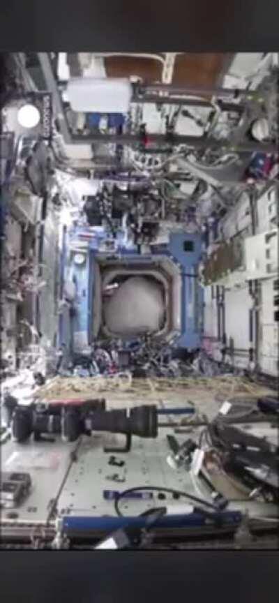 Remember APES 💎🙌🦧Astronaut Mark Kelly once smuggled a full gorilla suit on board the International Space Station. He didn't tell anyone about it. One day, without anyone knowing, he put it on. Hilarity ensued. To the MOON🌝