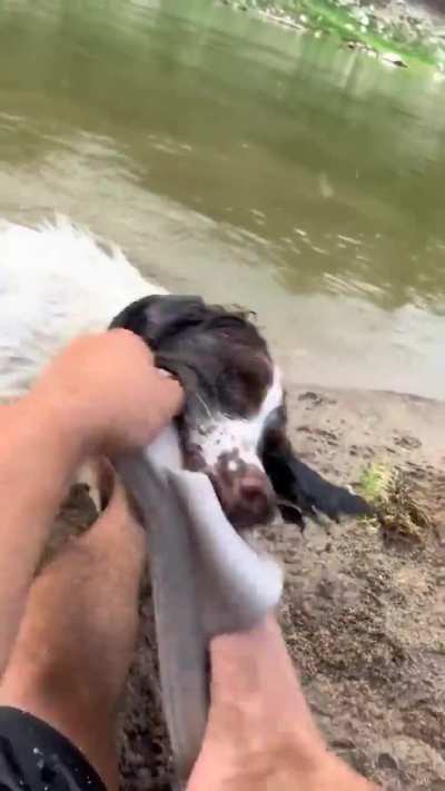 I said to throw it, not put it on!