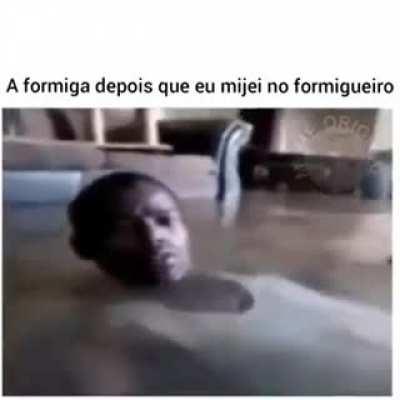 Será que é assim mesmo que elas ficam ?