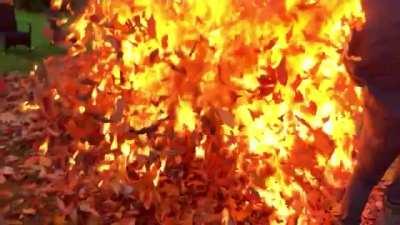 Burning leaves with gasoline WCGW?