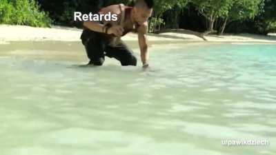 In the end they will drown (in debt).