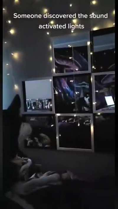 Husky discovers sound-activated lights