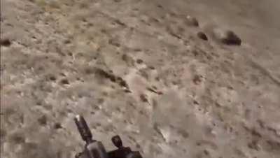 Knocked 500 years into the future