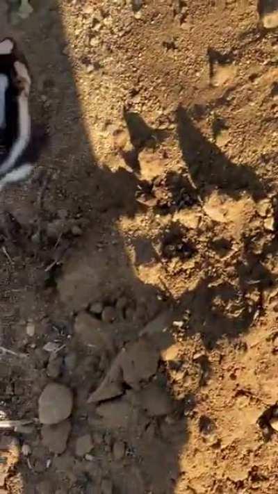 Pues uno que si es de humor.