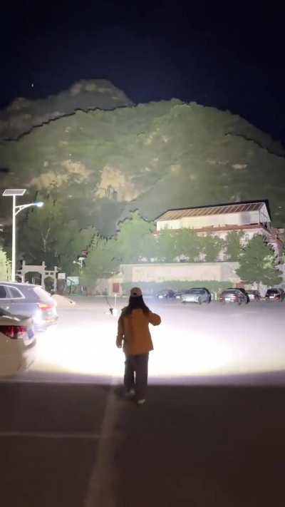 Rooster: it's morning already 