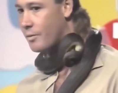 Never forget when Steve Irwin got bitten by a snake on TV live and laughed instead of panicking, 1991.