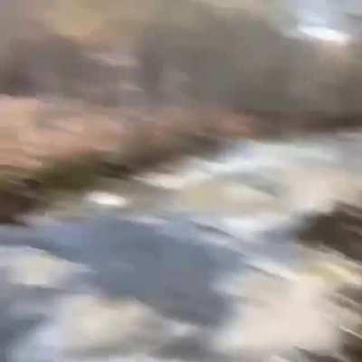 Слышь, лохматый, я в своем познании настолько преисполнился…