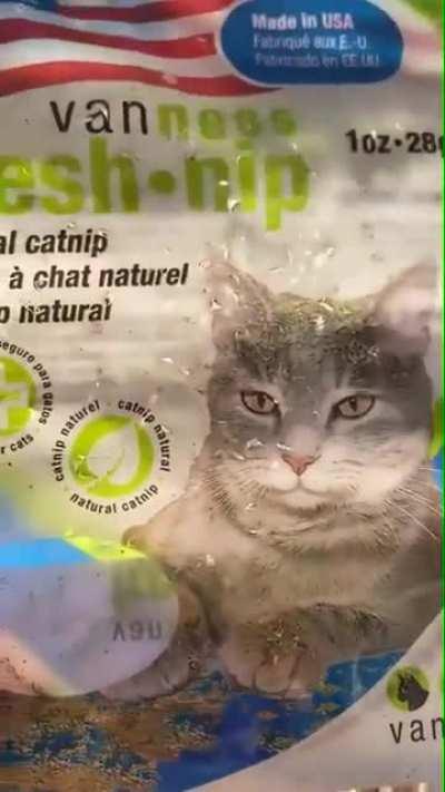 stopped working after an irresponsible dose